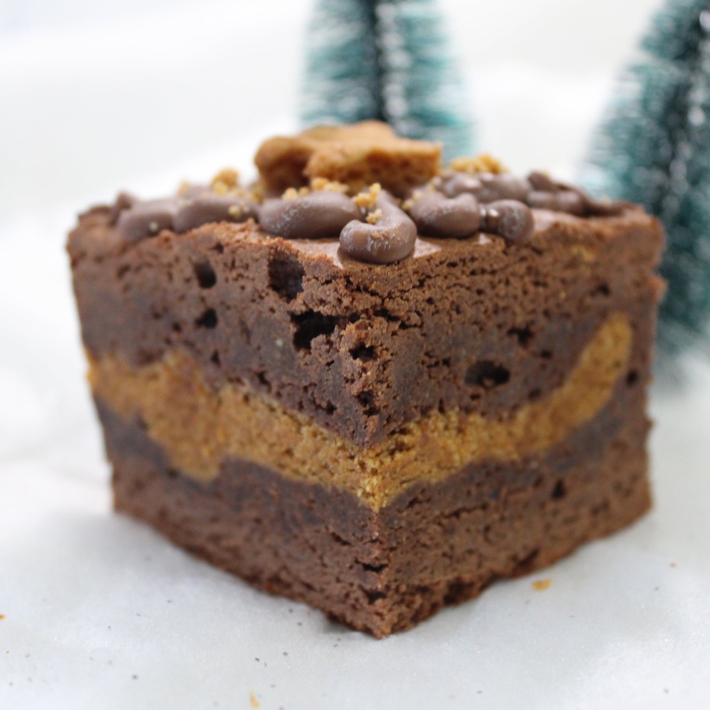 Gingerbread Brownie